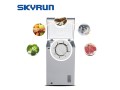 skyrun-100l-chest-freezer-bd-90a-grey-small-2
